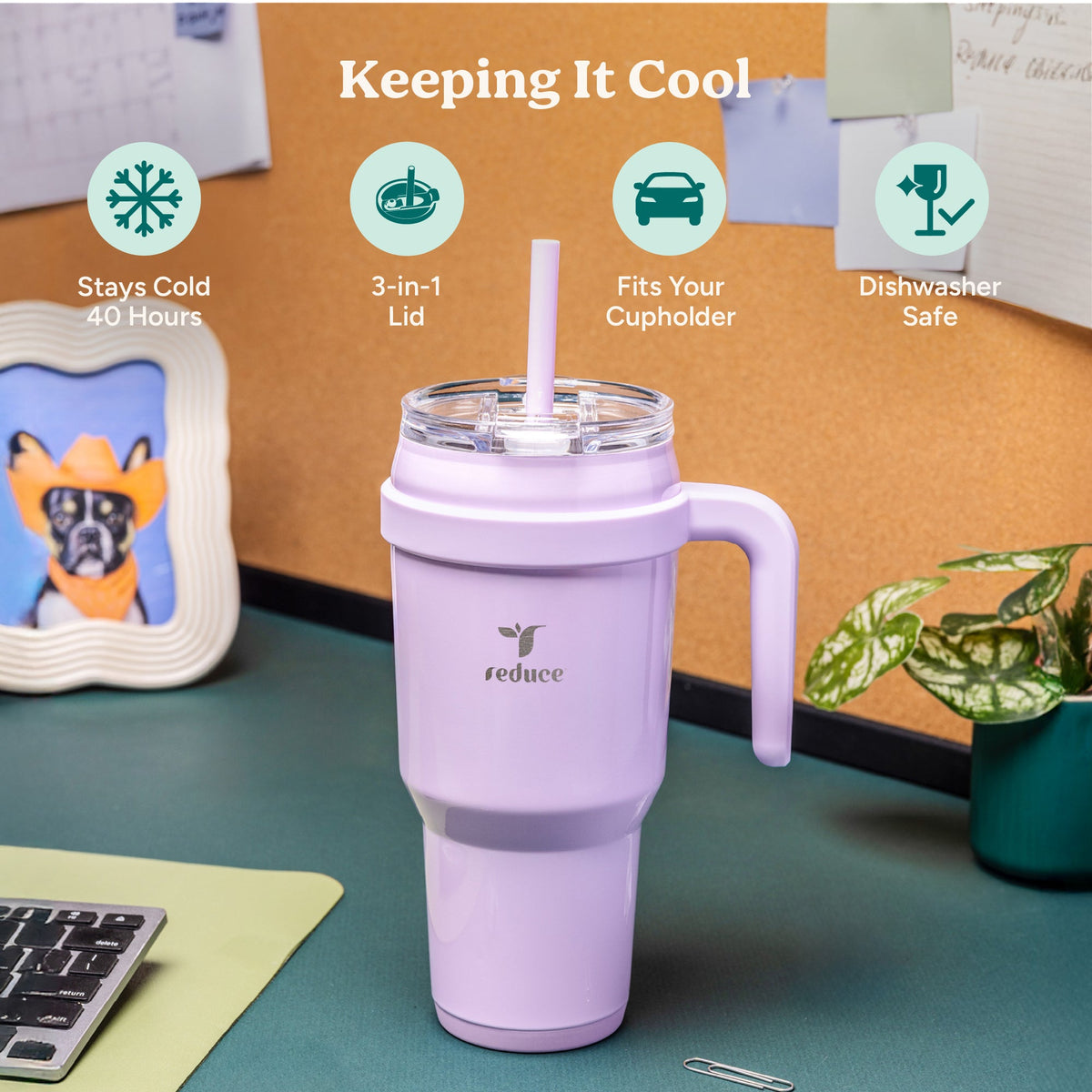 cold1-40-oz-d4 Cold1_40oz_PalmLeaf_Infographic_1.jpg