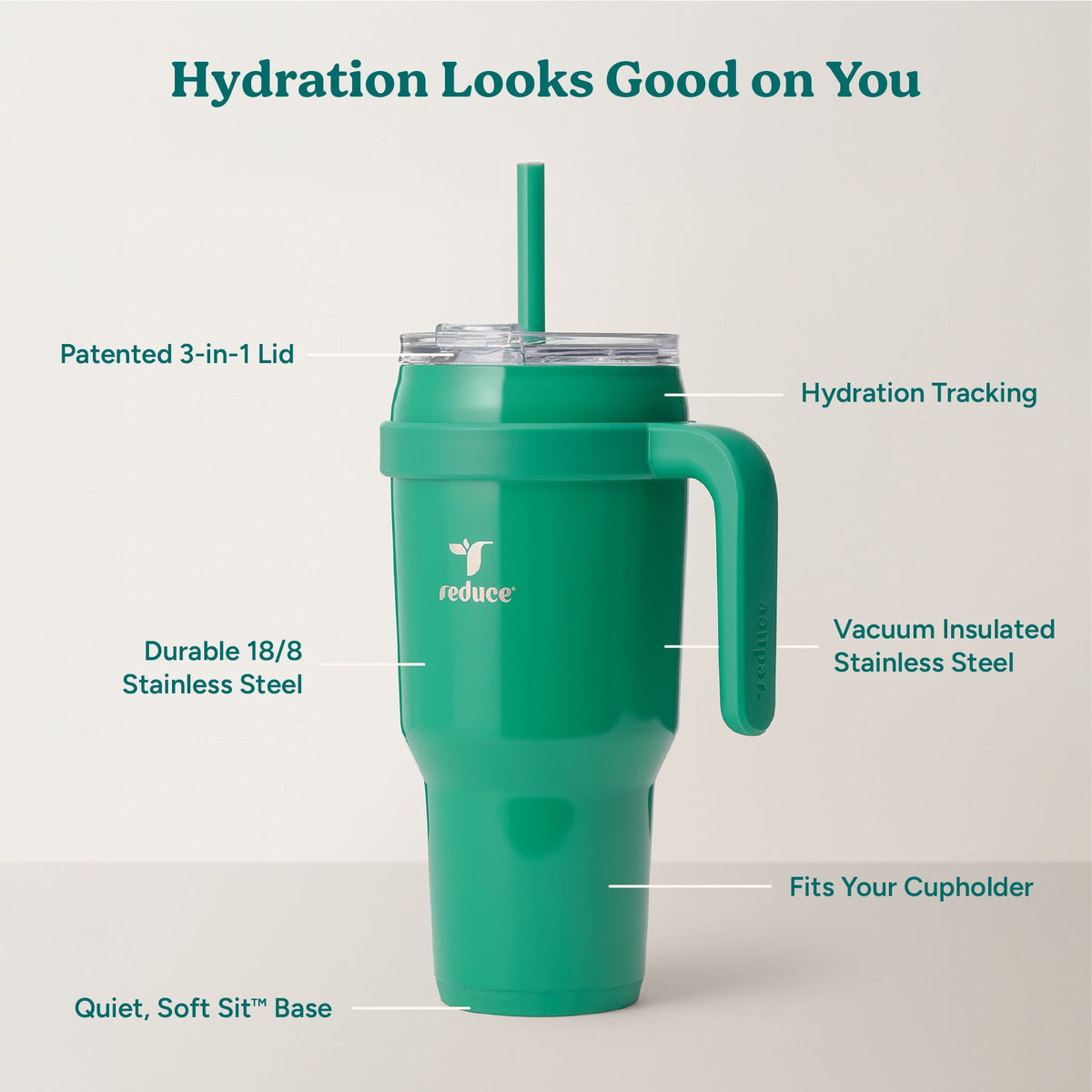 cold1-40-oz-d4 Cold1_40oz_PalmLeaf_Infographic_2.jpg