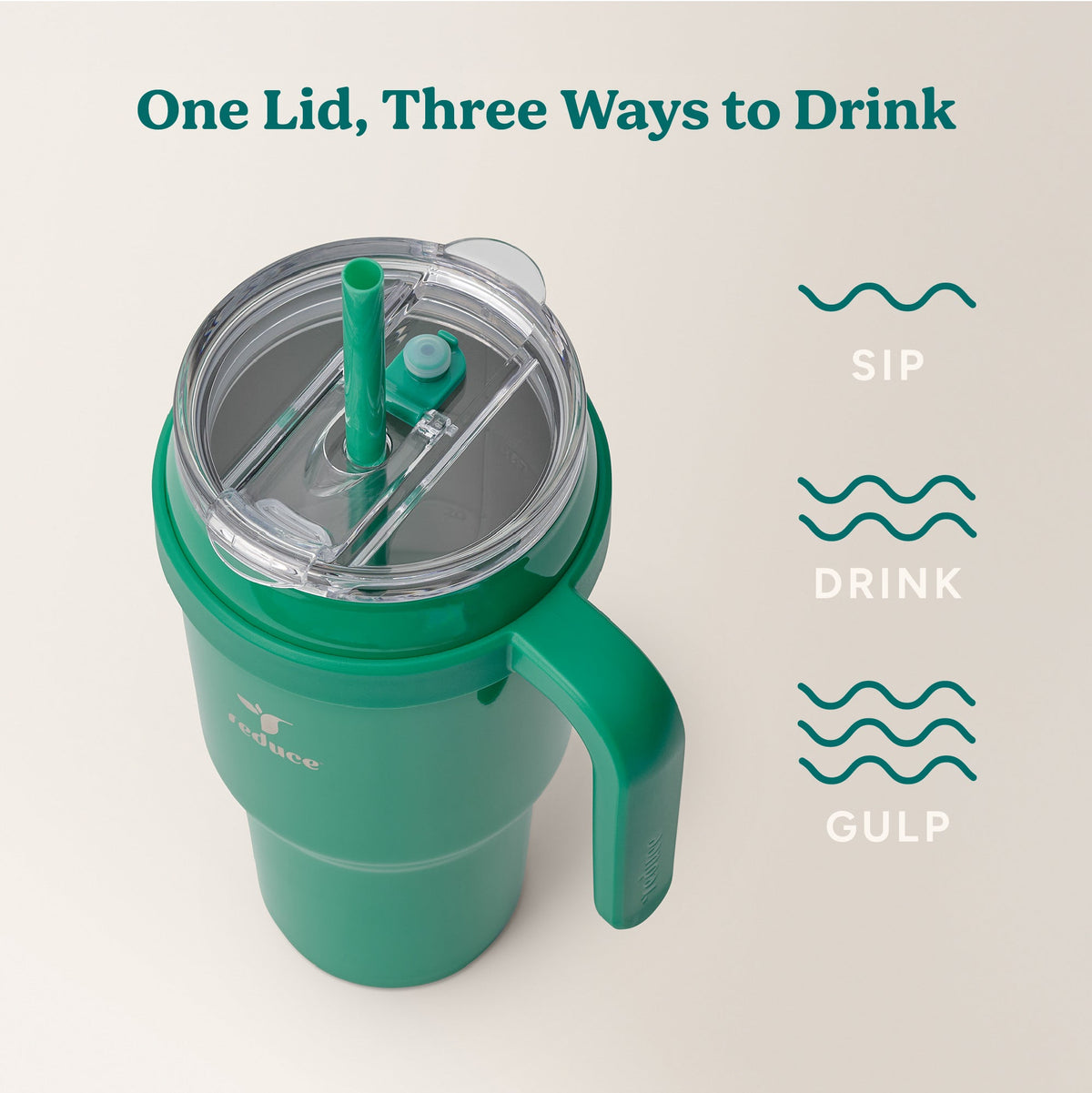 cold1-40-oz-d4 Cold1_40oz_PalmLeaf_Infographic_3.jpg