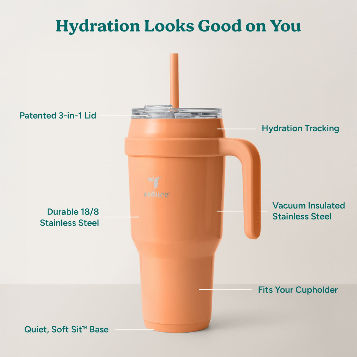 cold1-40-oz-d4 Cold1_40oz_Papaya_Infographic_2.jpg